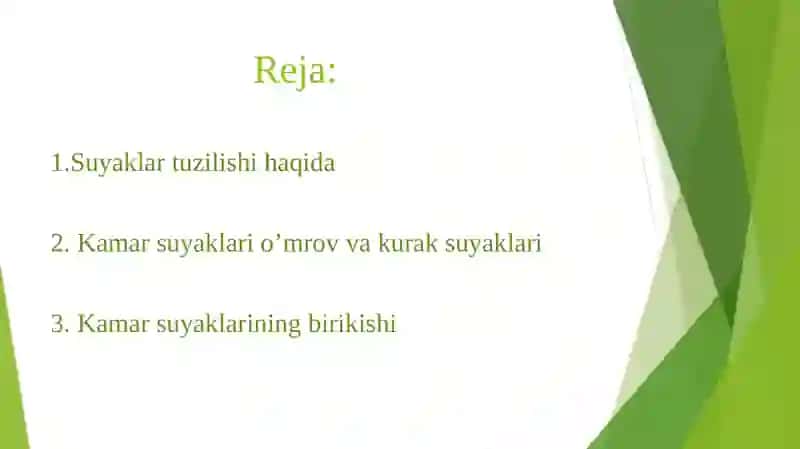 Yuqori kamarsuyaklarining tuzilishi(o’mrov va kurak) 2
