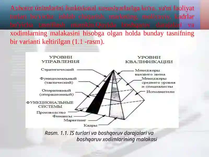 Axborot tizimlari 2