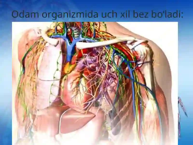 Odam va uning salomatligi darsligi 2