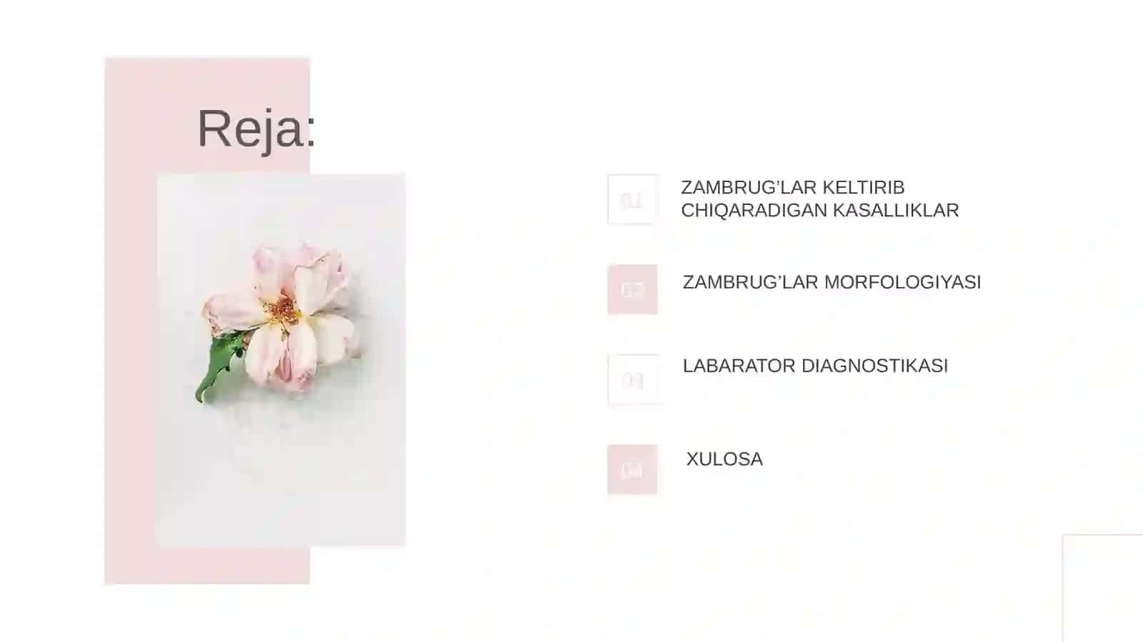 PATOGEN ZAMBRUG’LAR CHIQARUVCHI KASALLIKLAR VA ULARNI LABARATOR DIAGNOSTIKASI 2