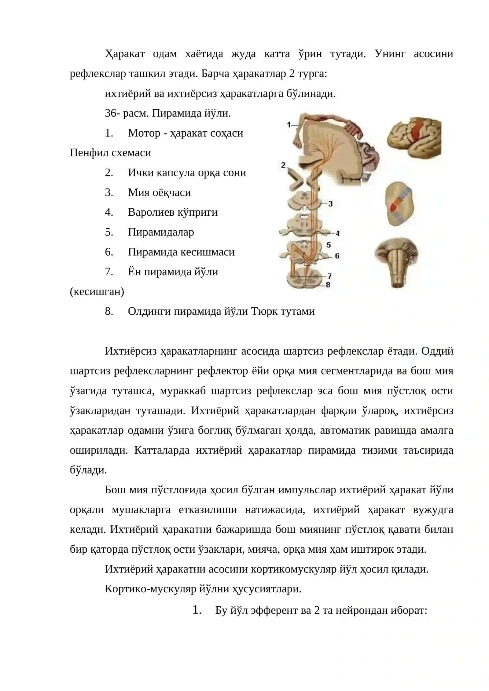 Ҳаракат доираси - тузилиши, вазифаси, текшириш усуллари, патологияси ва зарарланиш синдромлари 2