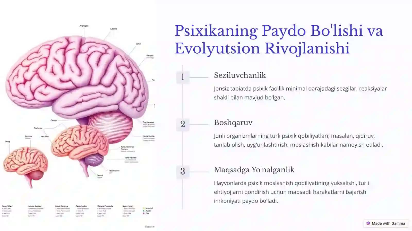 Psixikaning Filogenetik Taraqqiyoti 2