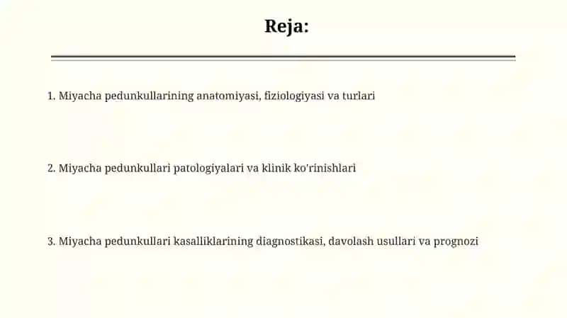 Miyacha pedunkullari: Anatomiya va Fiziologiya 2