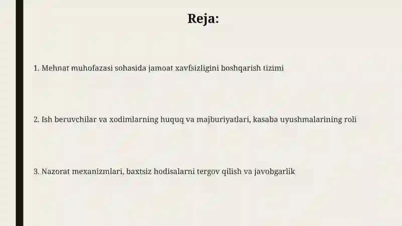 Mehnat muhofazasi sohasida jamoat xavfsizligini boshqarish tizimi 2