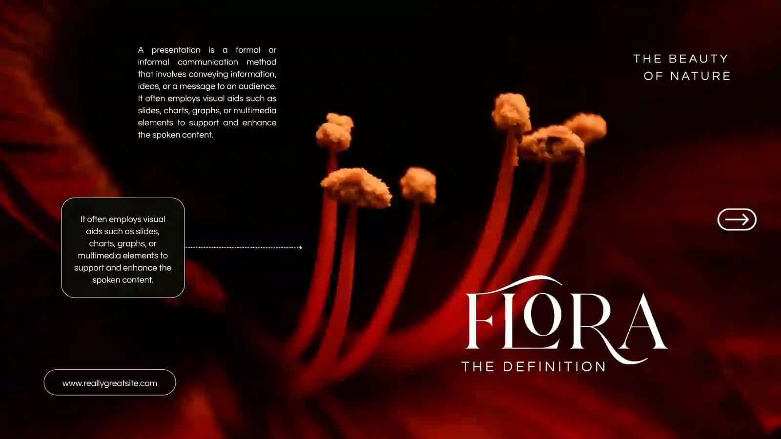 FloRa 2