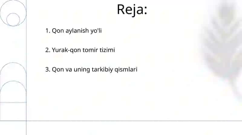 Qon aylanish fiziologiyasi 2