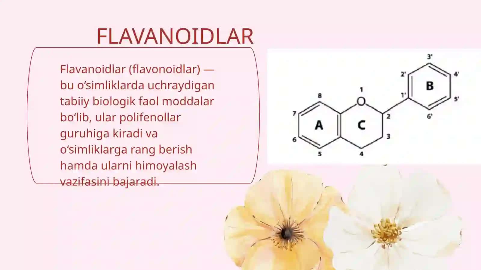FLAVONOIDLAR BIOSINTEZI. FLAVONODILARNI O‘RGANISHDA VATAN OLIMLARINING TUTGAN O’RNI. UCH RANGLI GUNAFSHA O‘SIMLIGI 2