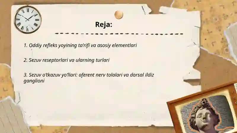 Oddiy refleks yoyi 2