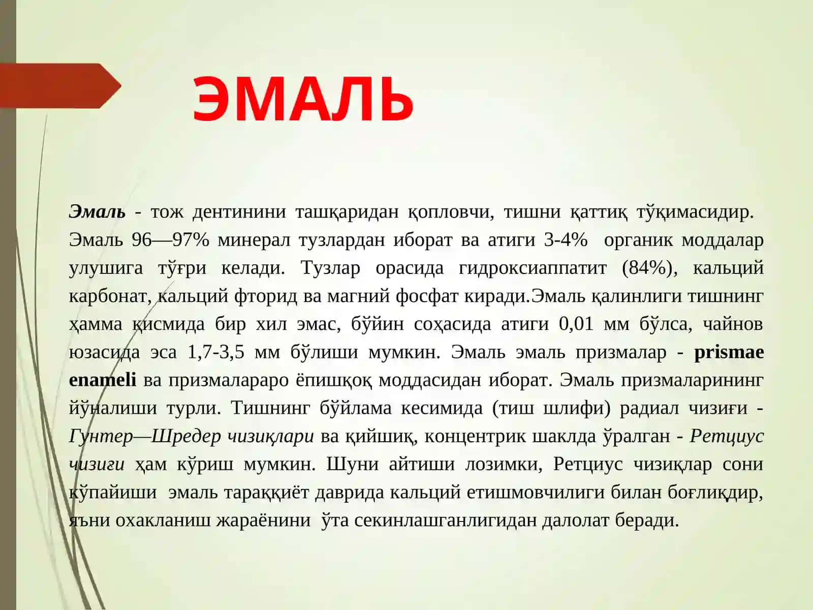 Tishning qattiq toʻqimalari: emal, sement va dentinlarning rivojlanishi va tuzilishi 2