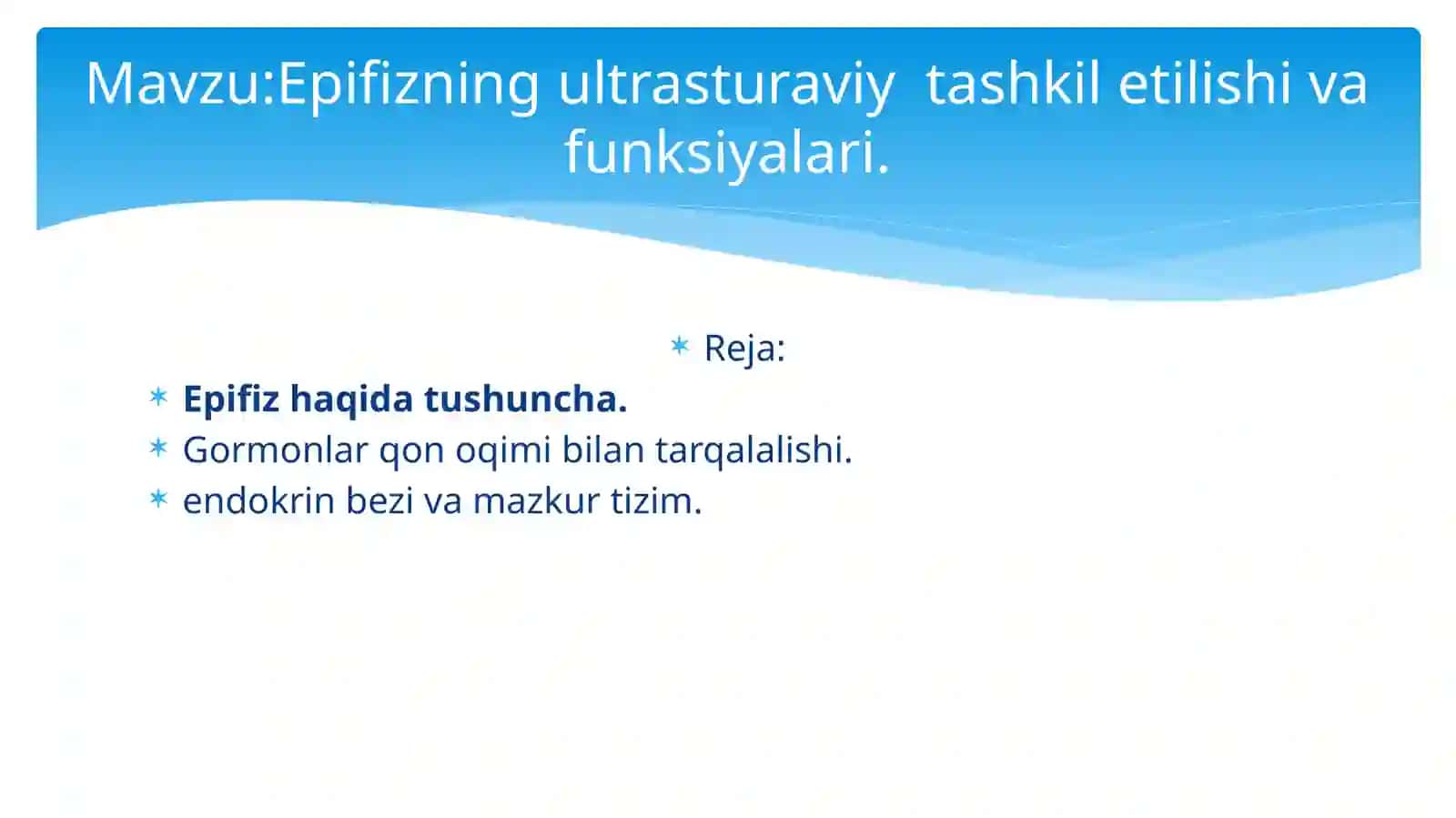 Epifizning ultratuzilaviy tashkil etilishi va funksiyalari 2
