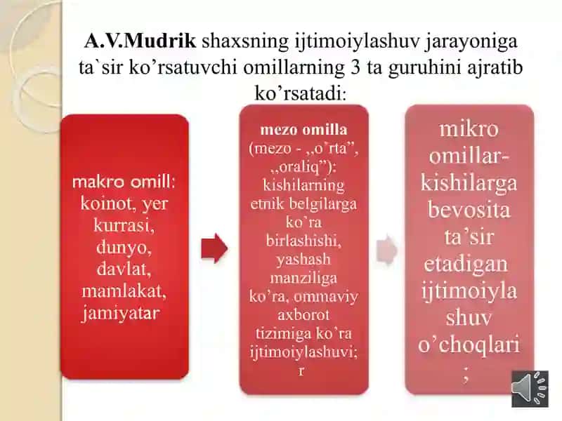Ijtimoiy ta'sirlarning shaxs tomonidan qabul qilinishi 2