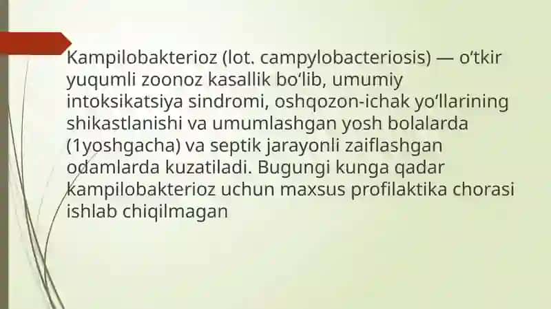 Kampilobakteriyalar ularning amaliyotdagi ahamiyati 2