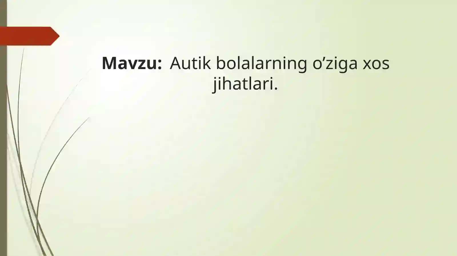 Ta'lim Mavzu: Autik bolalarning o'ziga xos jihatlari 2