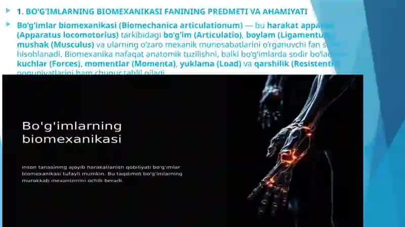 Bo’g’imlarning Biomexanikasi 2