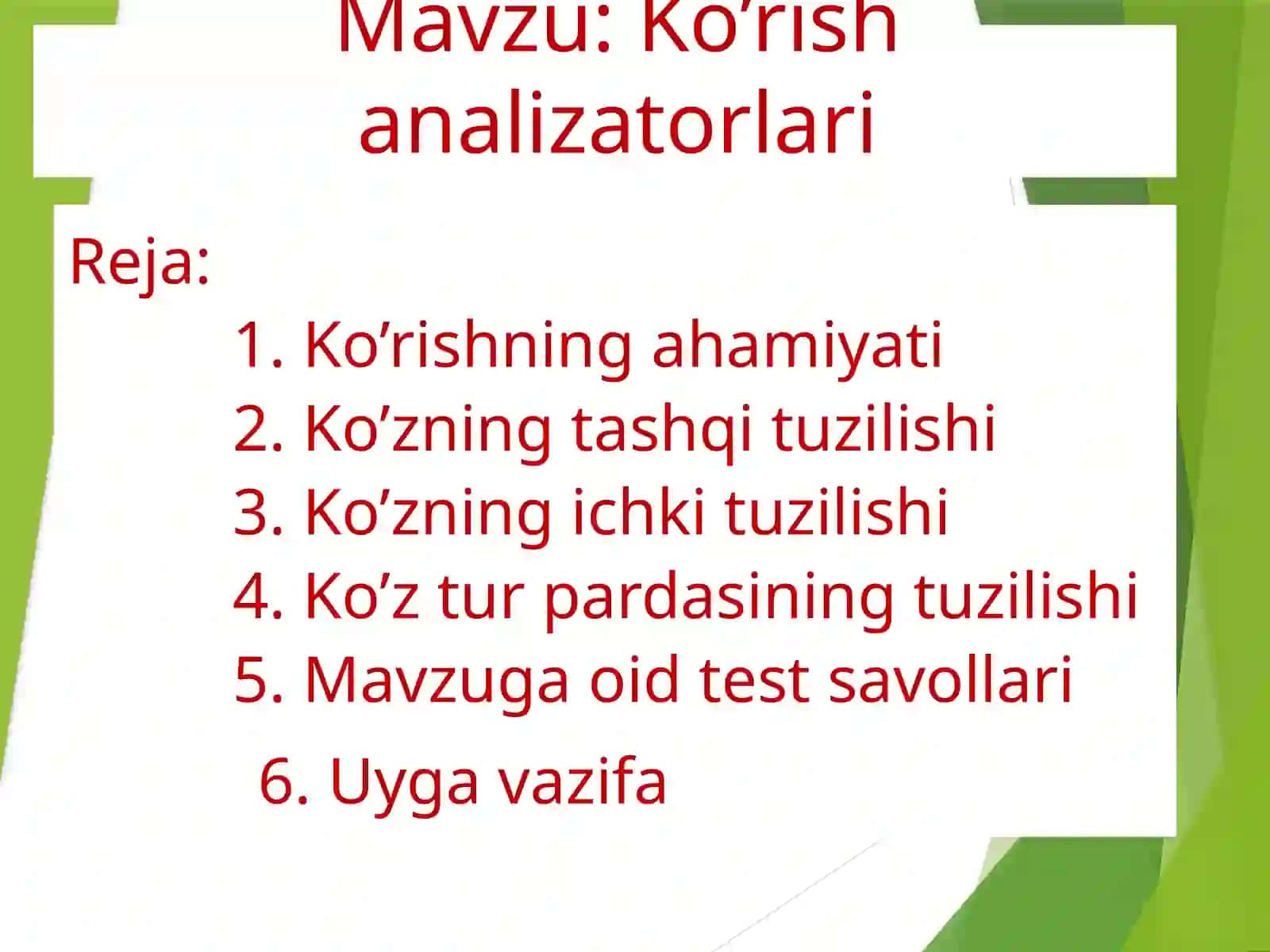 Ko’rish   analizatorlari DARS ISHLANMASI 2