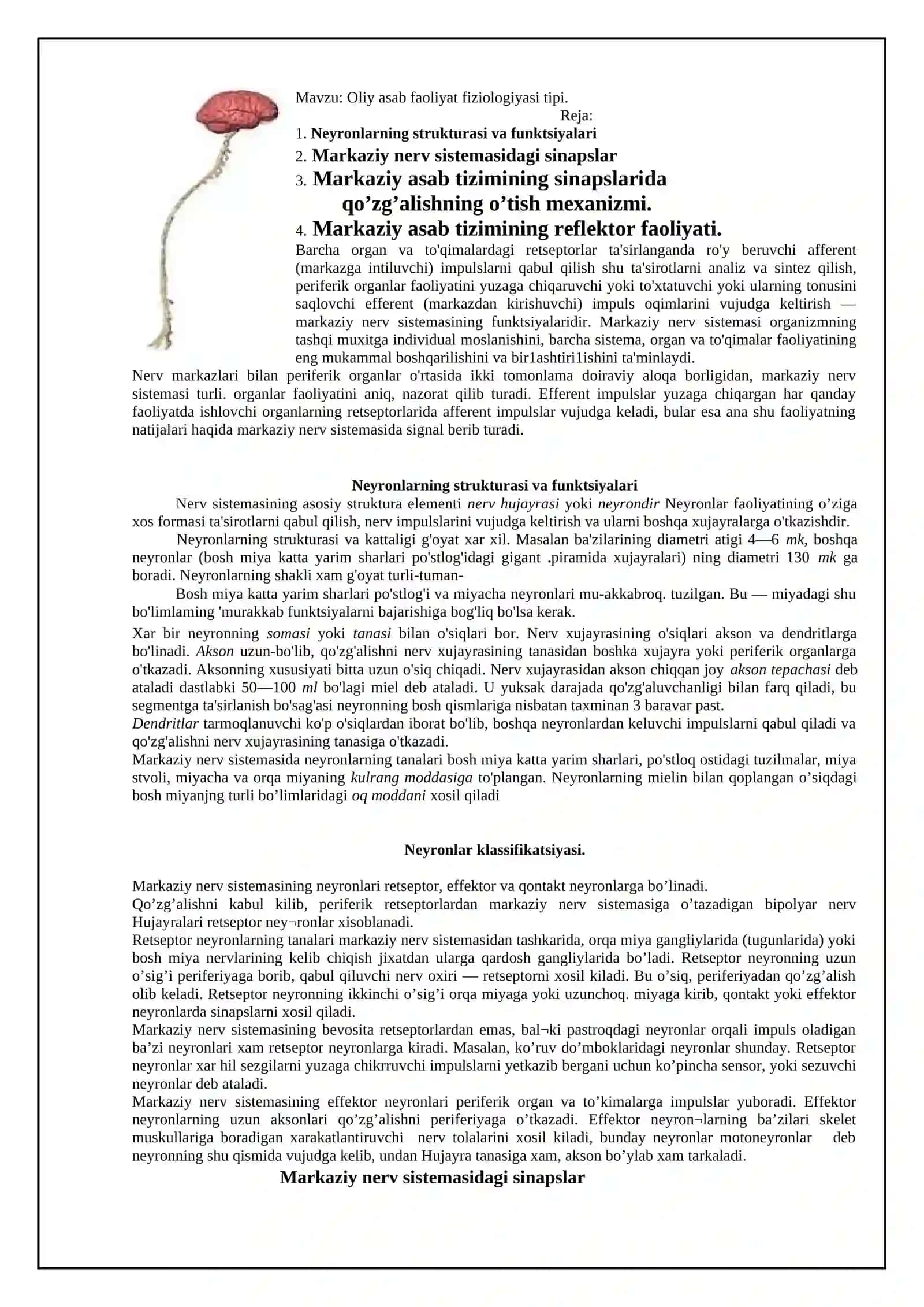Oliy asab faoliyat fiziologiyasi tipi 2