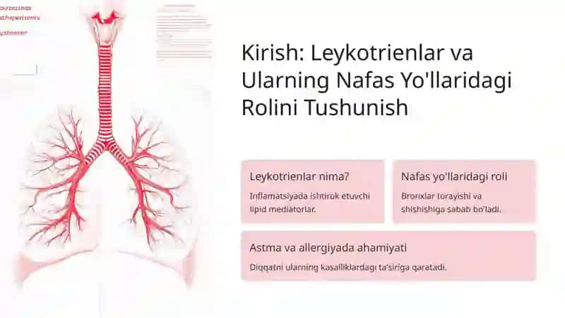 Leykotrien Retseptorlariga Ta'sir Etuvchi Dori Vositalari 2