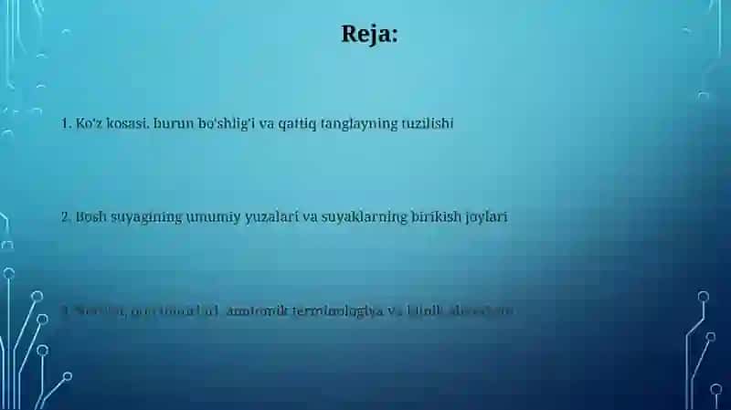 Bosh suyagining umumiy tuzilishi va uning yuzalari 2