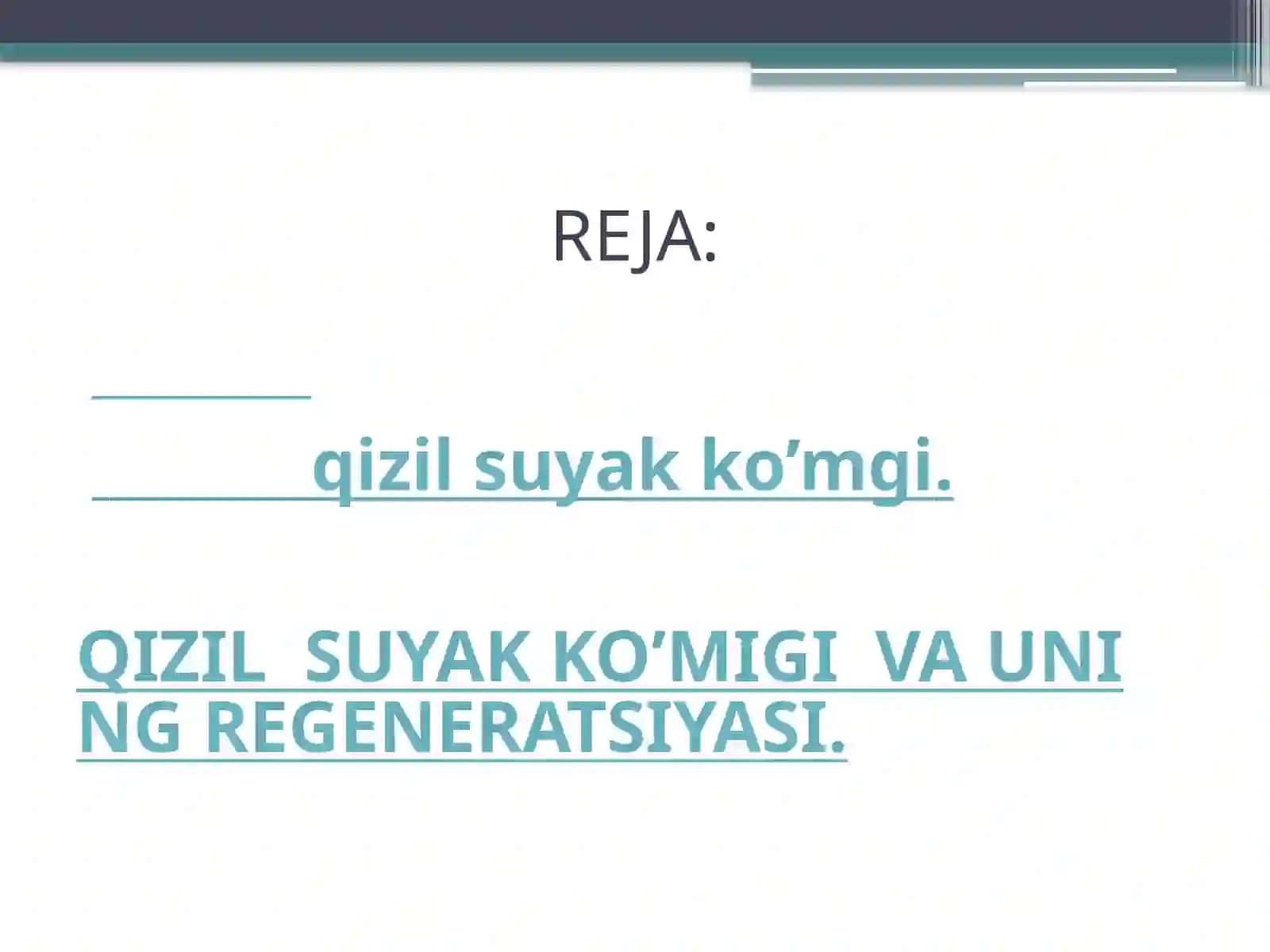 Qizil suyak ko’migi va uning regeneratsiyasi 2