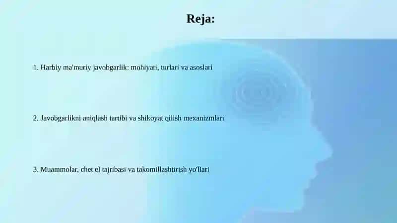 Harbiy ma'muriy javobgarlik 2