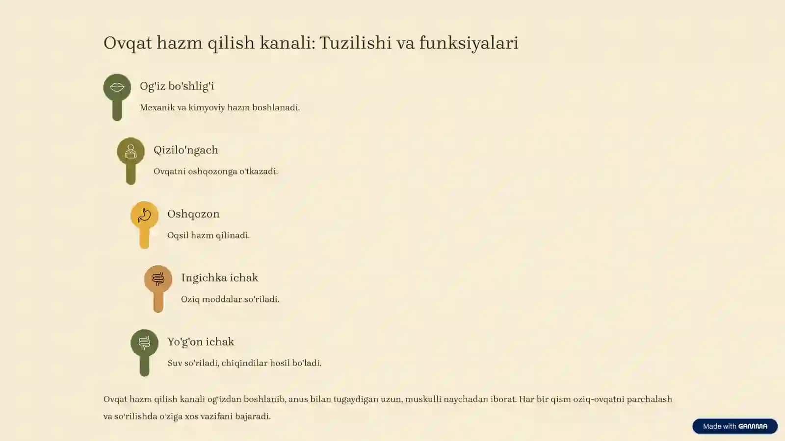 Ovqat hazm qilish tizimi: Inson tanasining hayotiy jarayoni 2