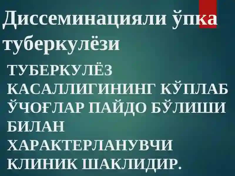 ДИССЕМИНАЦИЯЛИ ЎПК АТУБЕРКУЛЁЗИ 2