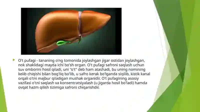 O’T PUFAGI VA O’T YOLLARI DIFFERENSIAL DIAGNOSTIKASI. 2