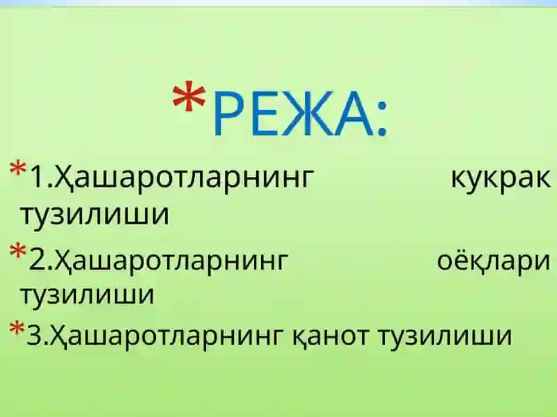 Ҳашаротларнинг кукрак тузилиши ва унга жойлашган органлар вазифалари 2