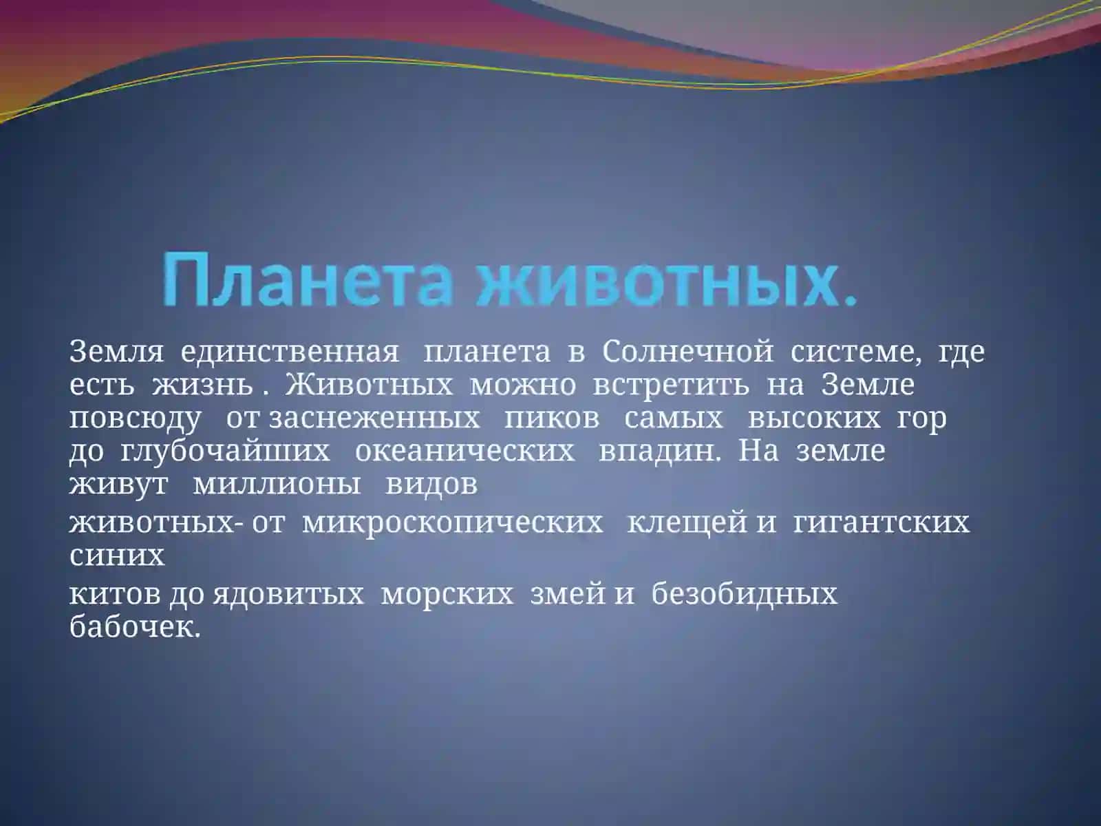 Удивительный мир животных.Открытое мероприятие 2
