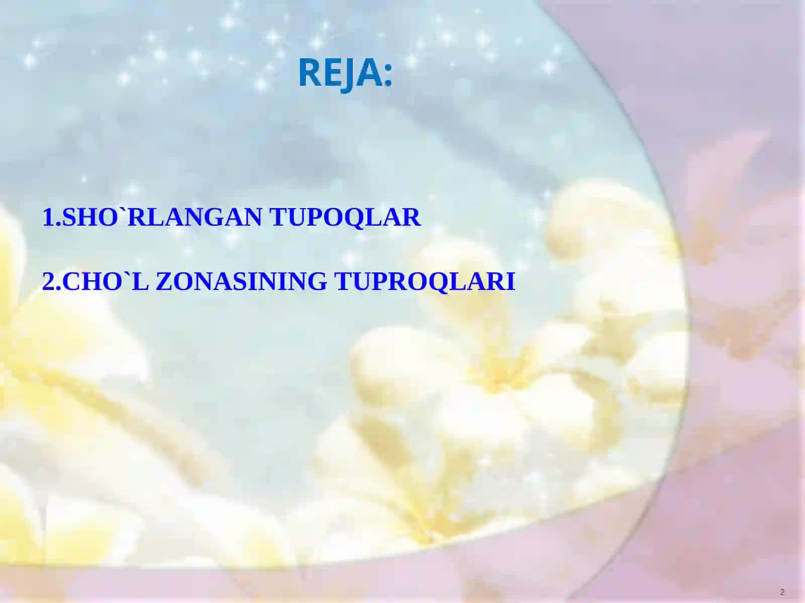 SHO`RLANGAN TUPROQALR. CHO`L ZONASINING TUPROALARI 2