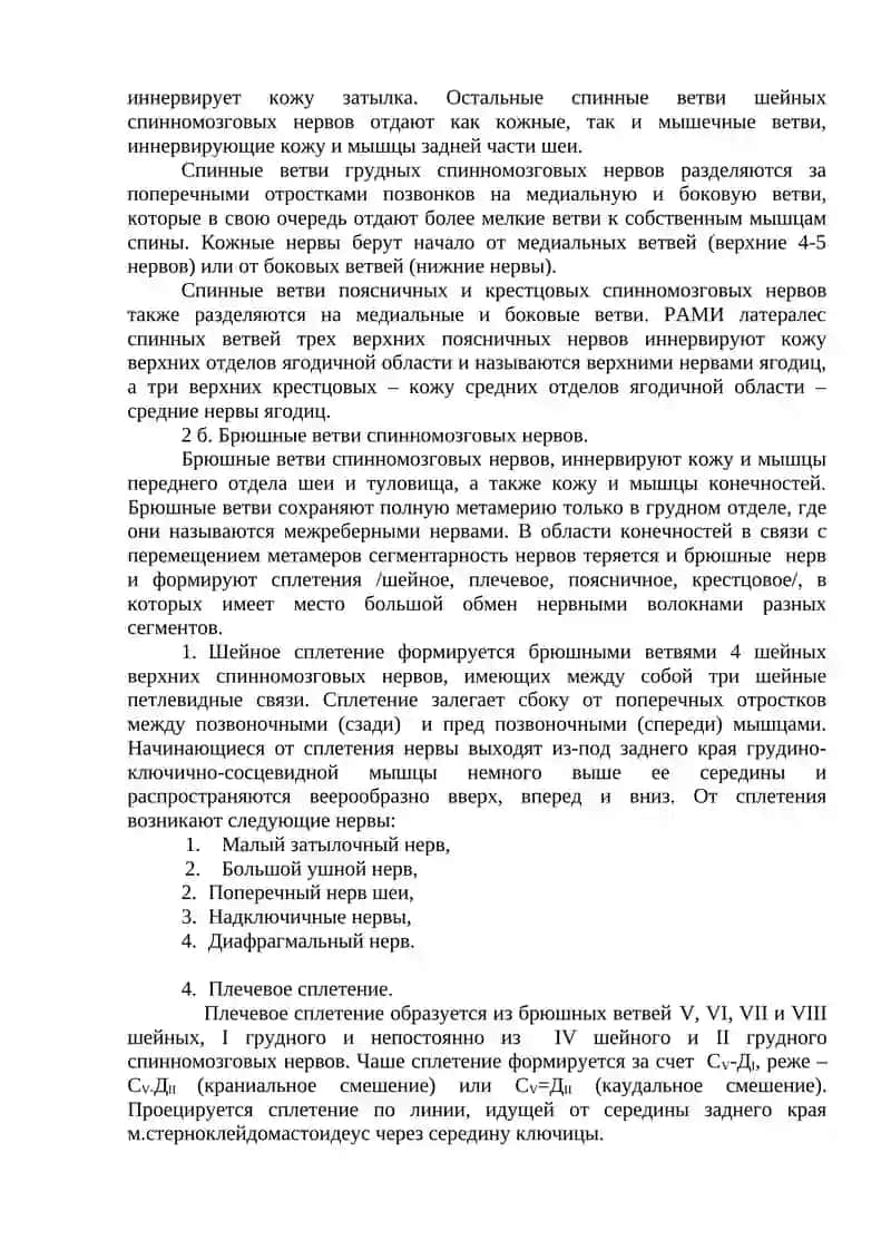 ПЕРИФЕРИЧЕСКАЯ НЕРВНАЯ СИСТЕМА. СПИННО МОЗГОВЫЕ НЕРВЫ 2