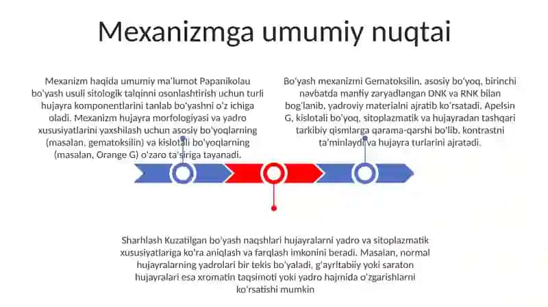 Bo'yash mexanizmlari 2