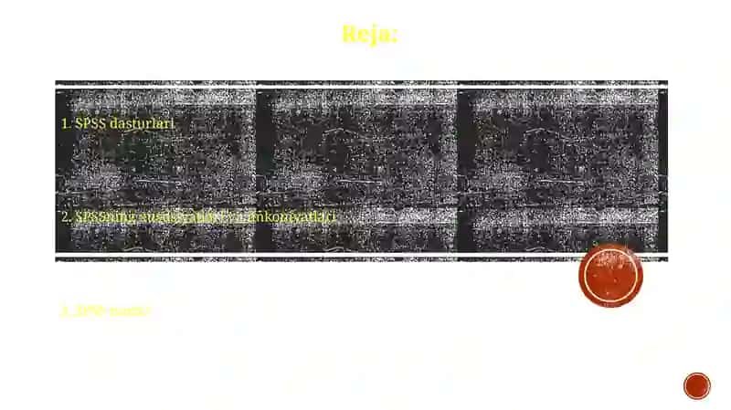 SPSS dasturlari 2