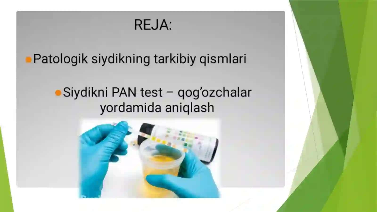 SIYDIK TAHLILI 2