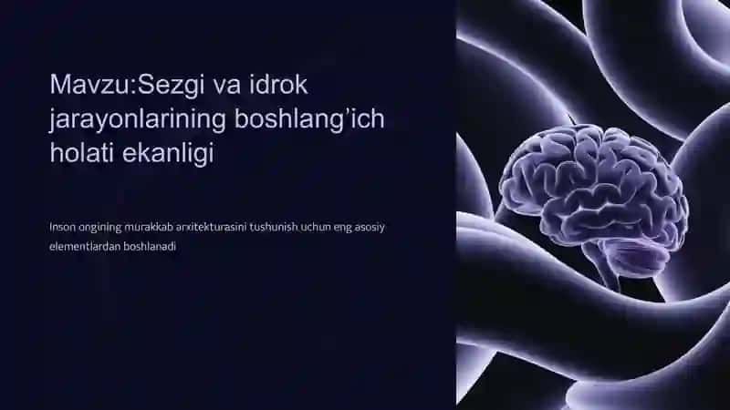 Sezgi va idrok jarayonlarining boshlang’ich holati ekanligi 2