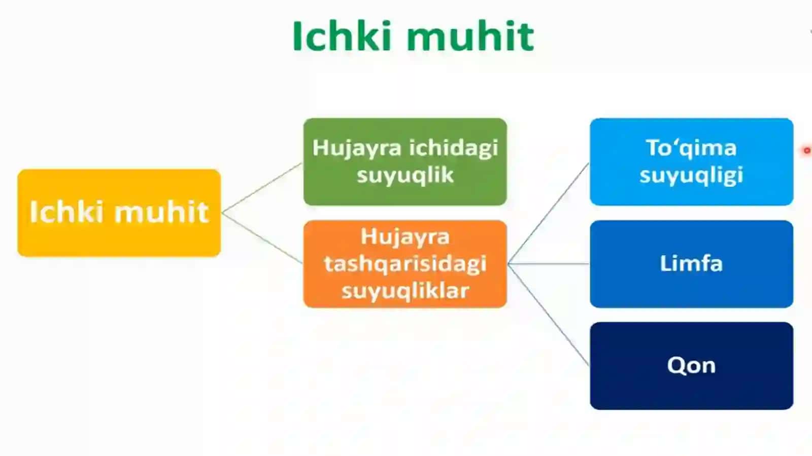 Organizmning ichki muhiti Qon 2