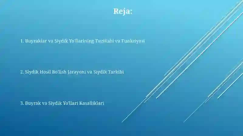 Siydikhosilqilish va ajratish jarayonlari 2