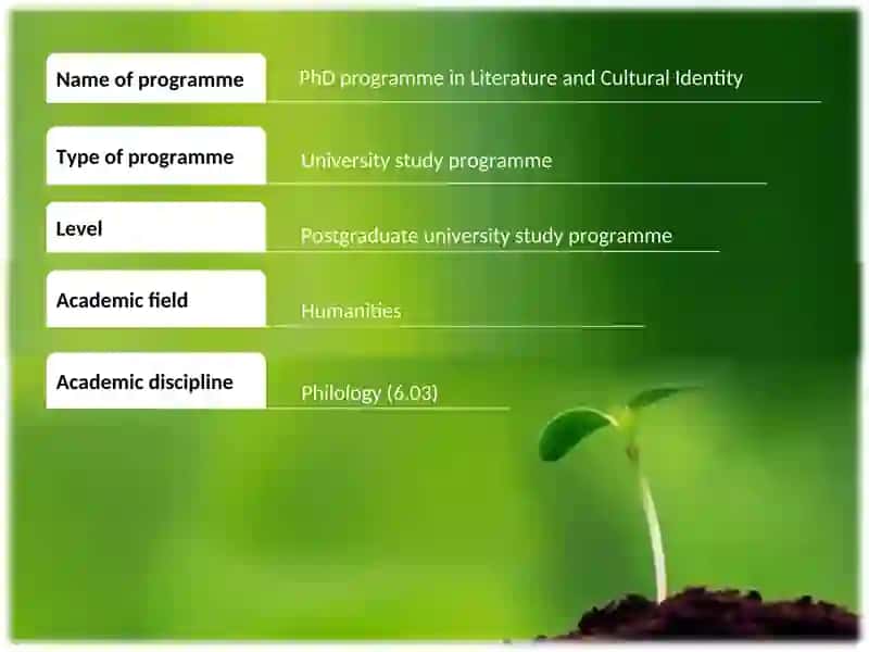PhD programme in Literature and Cultural Identity 2