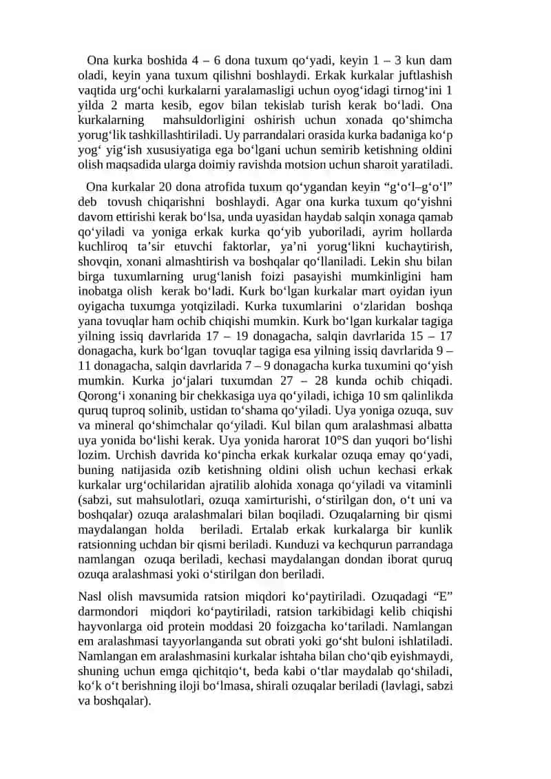 Kurka jo’jalarini o’stirish va parvarishlash usullari 2