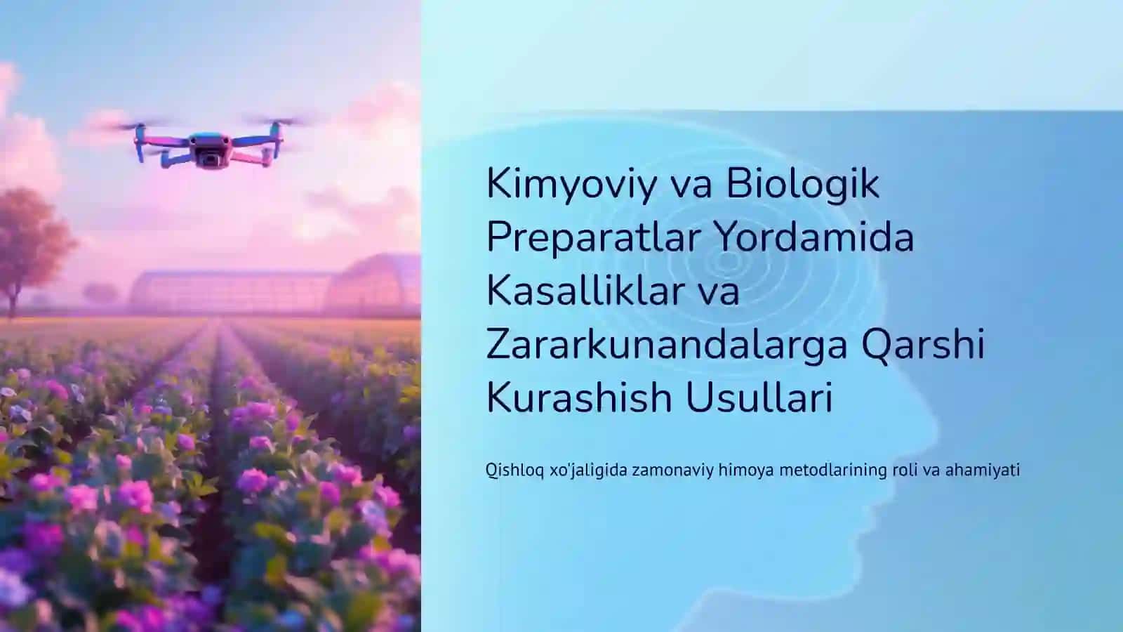 Kimyoviy va Biologik Preparatlar Yordamida Kasalliklar va Zararkunandalarga Qarshi Kurashish Usullari 2