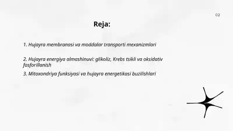 Hujayrada moddalar, energiya va maʼlumotlar oqimi. Hujayra proliferatsiyasi muammolarining tibbiyotdagi roʻli 2