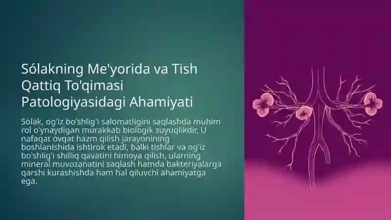So‘lakning me’yorida va tish qattiq to‘qimasi patalogiyasidagi ahamiyati 2