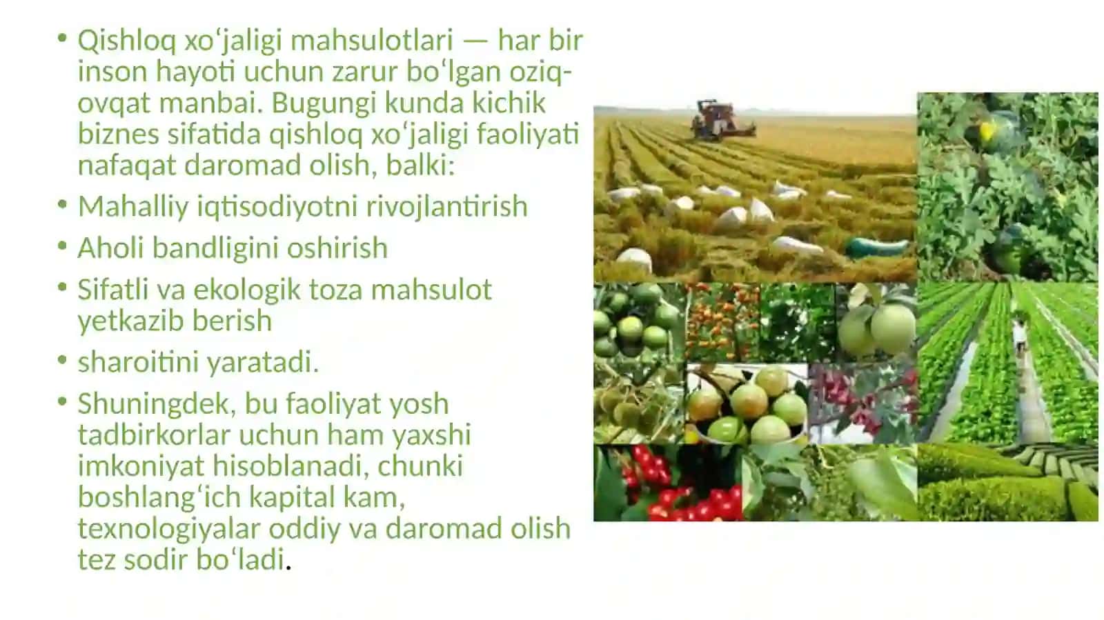 Qishloqxo‘jaligi mahsulotlari 2