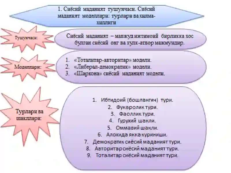 Siyosiy madaniyat. Siyosiy mafkuralar. Siyosiy modernizatsiya 2