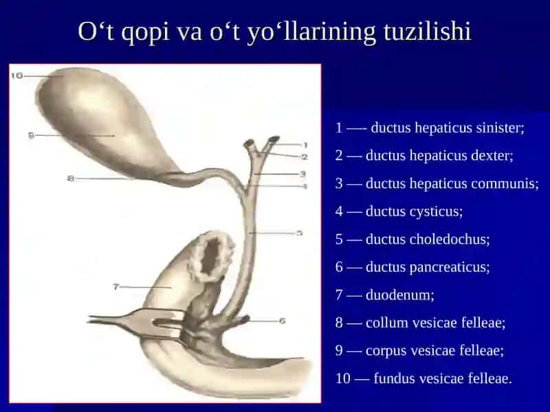 O‘tkir xolesistit va uning asoratlari 2