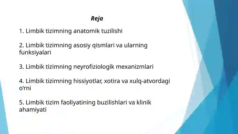 Lembik tizim  funksiyasi 2