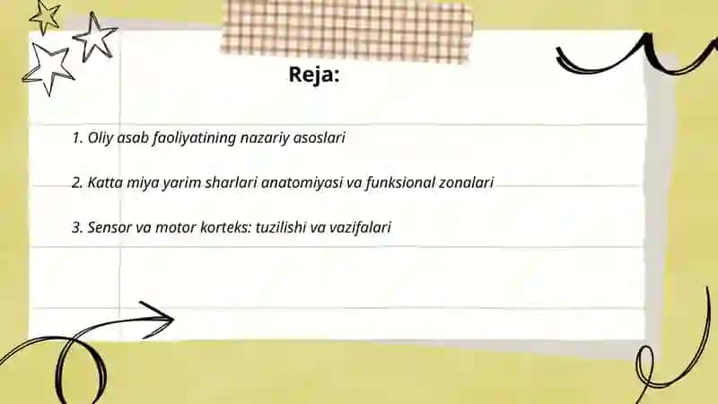 Oliy asab faoliyati. Miya yarim sharlari fiziologiyasi 2