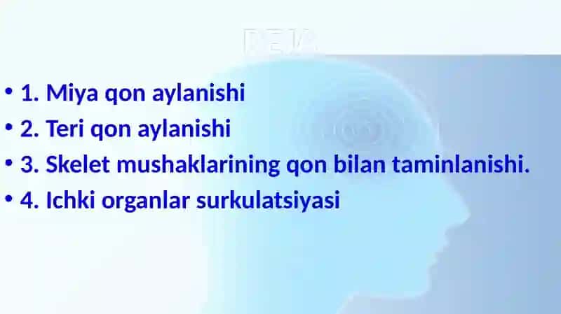 A’zolar qon aylanishining o’ziga xosligi 2