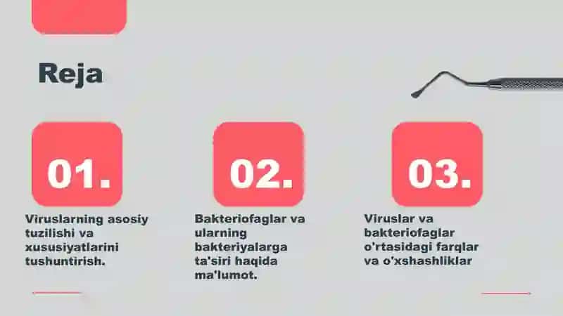Umumiy virusalogiya va bakteriofaglar. 2