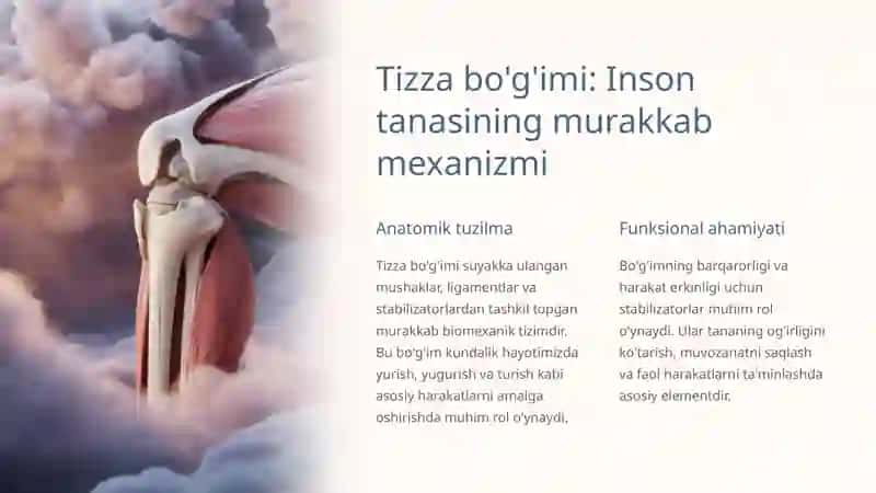 Tizza bo'g'imi stabilizatorlari: Tuzilishi va Ahmiyati 2